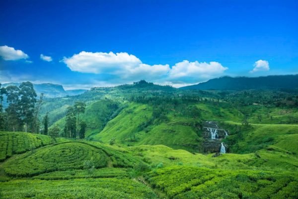 ayubotravels.com
