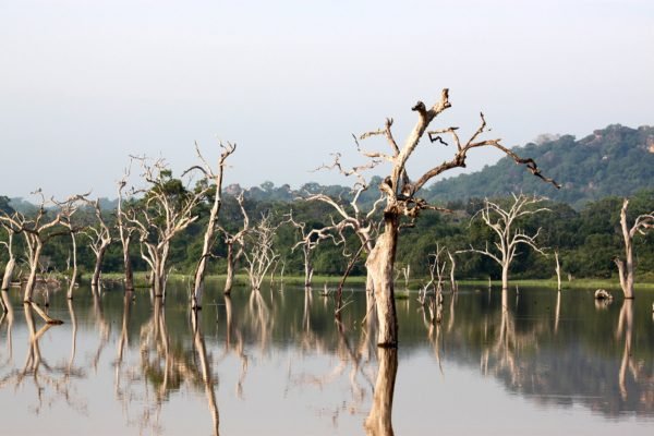 ayubotravels.com
