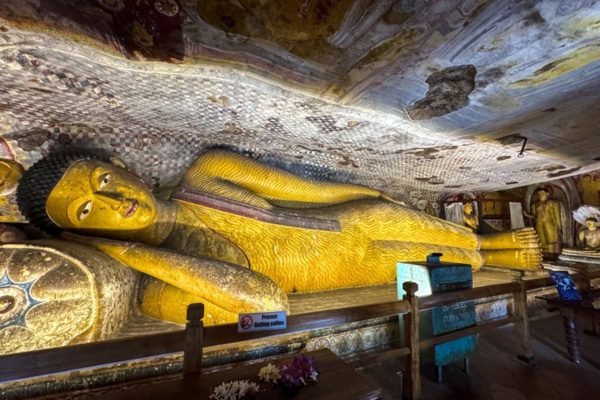 ayubotravels.com