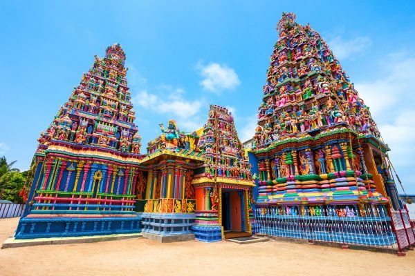ayubotravels.com