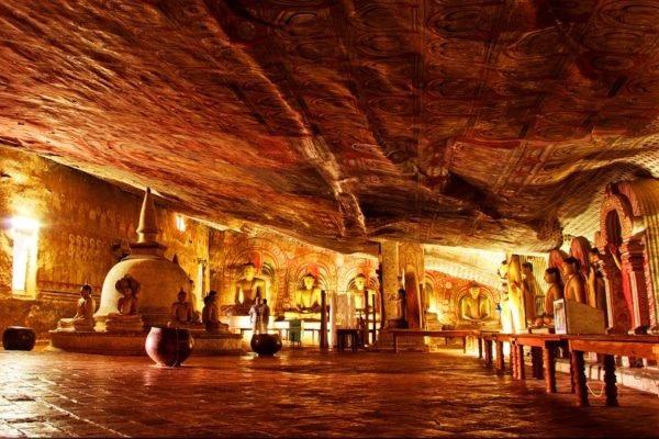 ayubotravels.com
