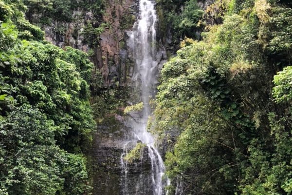 ayubotravels.com