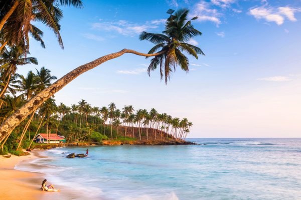 ayubotravels.com