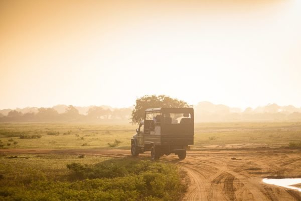 ayubotravels.com