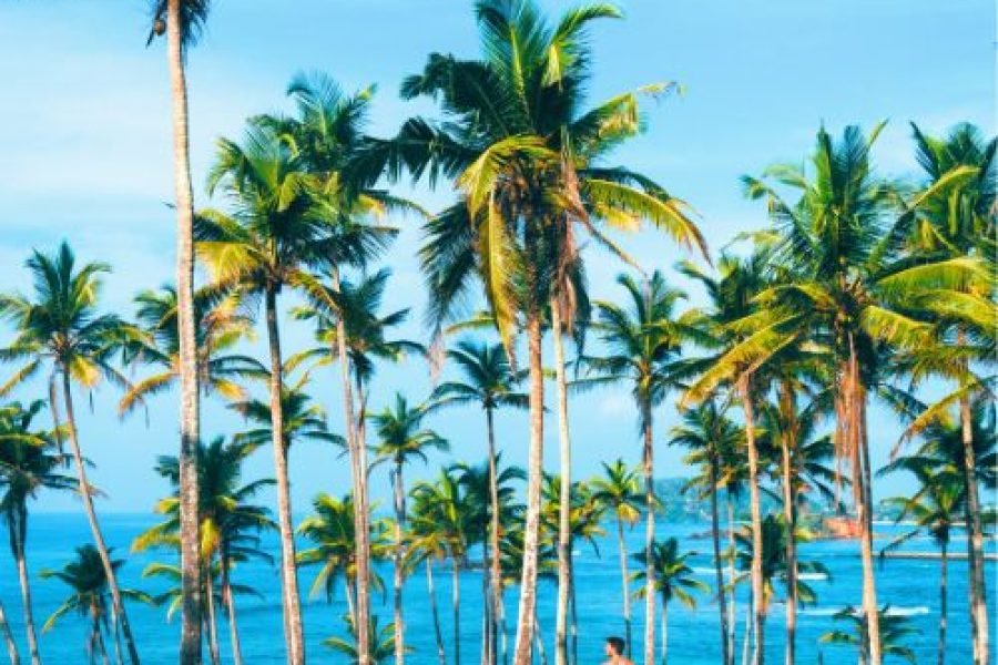 Sri Lanka Family Holiday